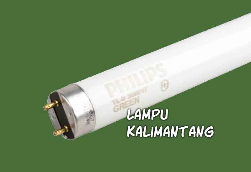 lampu kalimantang