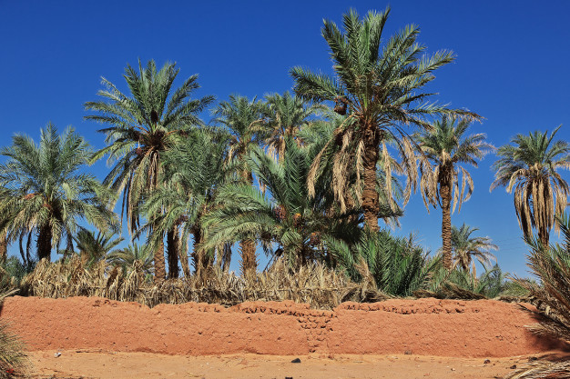 laut sahara