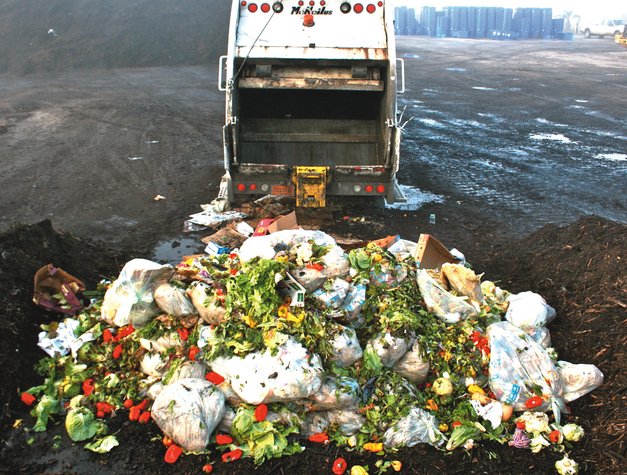 lebihan makanan terbuang didermakan kepada ladang khinzir