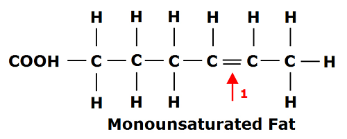 lemak mono tidak tepu monounsaturated fat