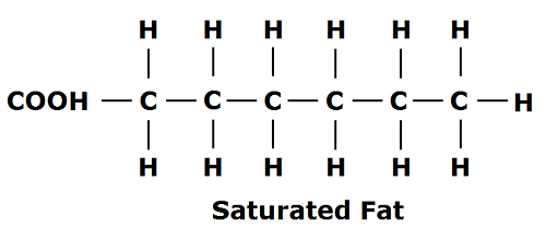 lemak tepu saturated fat