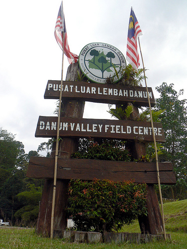 lembah danum