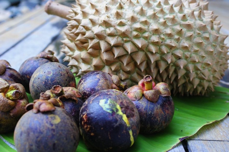 makan durian dan manggis bersama sama kurangkan rasa panas