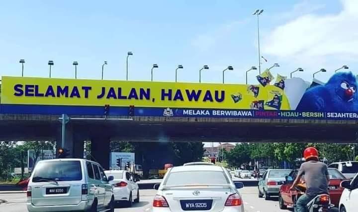 makna sebenar perkataan hawau