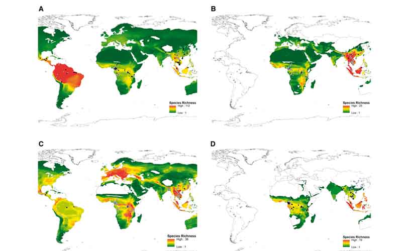 malaysia hotspot coronavirus