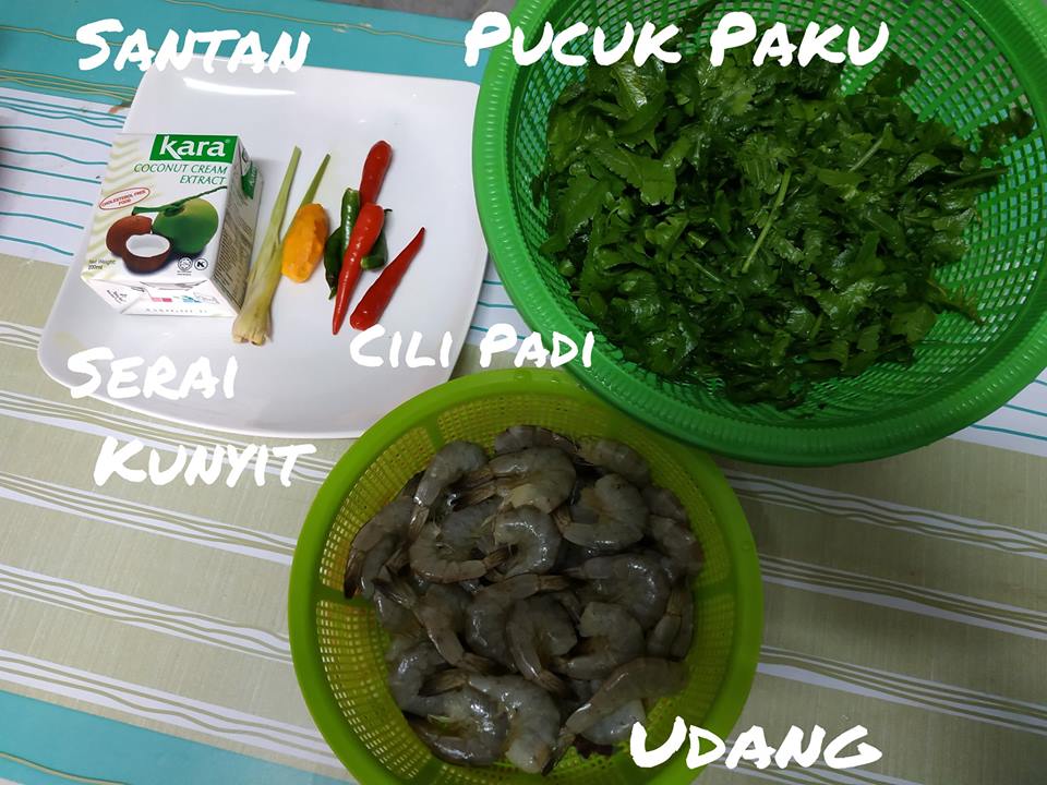 masak lemak pucuk paku udang 1