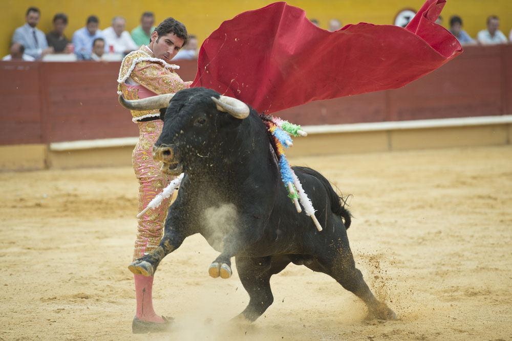 matador