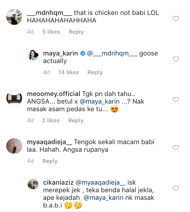 maya karin makan babi ini penjelasan beliau 2