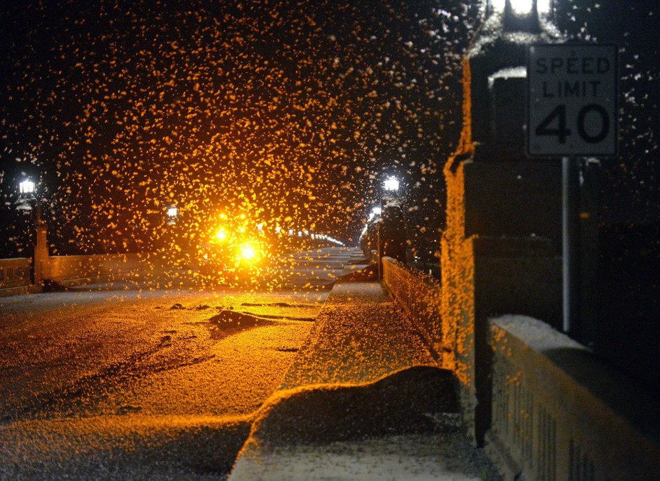 mayfly menghurung sumber cahaya