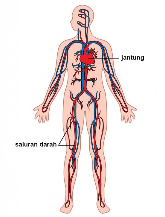 mengapa jari susah naik taip ketika cuaca sejuk 2