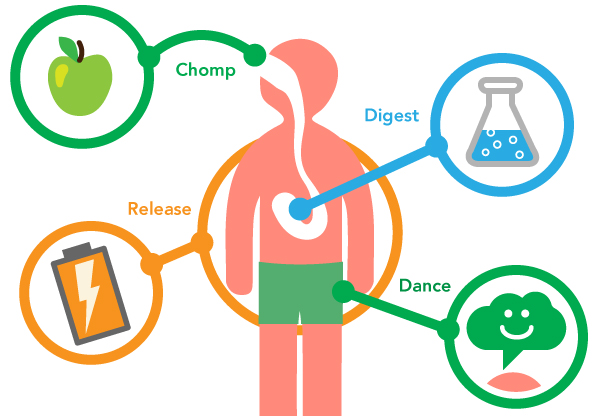 metabolism kadar