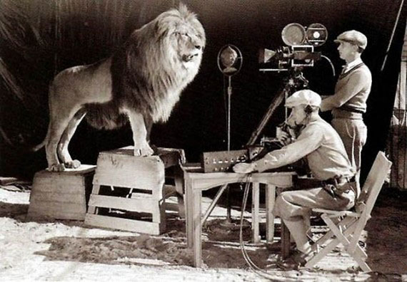 mgm lion tangkap gambar singa