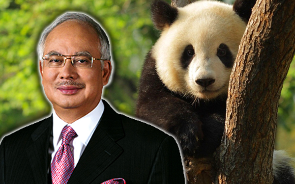 najib razak dan panda hadiah dari china