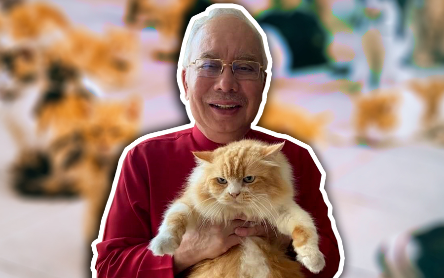 najib razak kucing