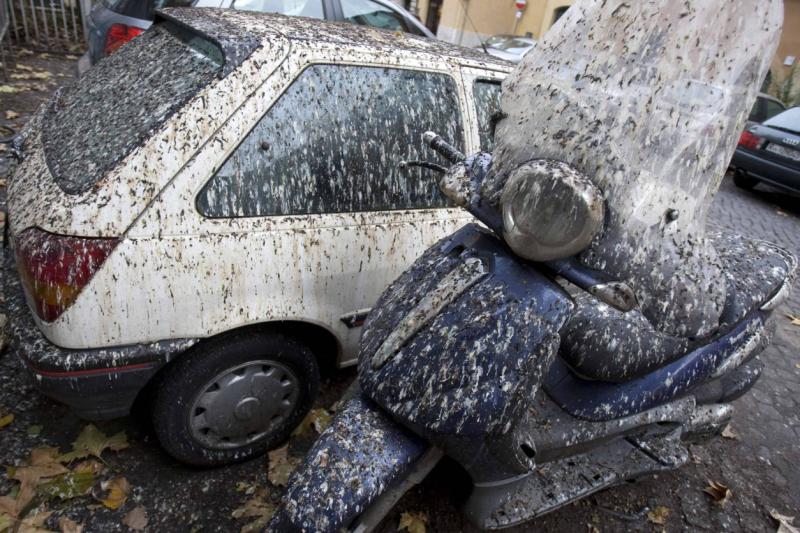 najis burung pada kereta