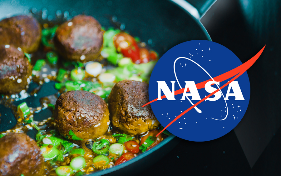 nasa daging dari angin udara