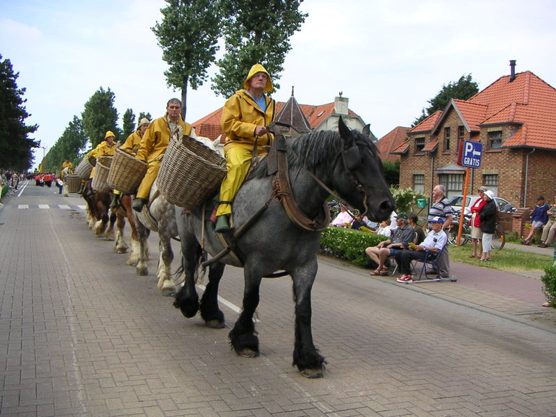 nelayan berkuda oostduinkerke