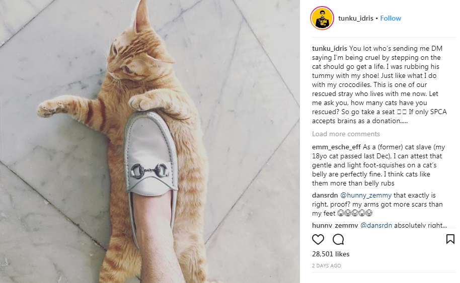 netizen berang tunku idris pijak kucing ini penjelasan beliau 1