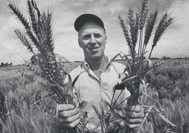 norman ernest borlaug 933