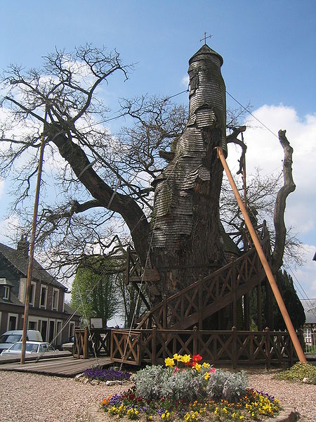 oak chapel of allouville bellefosse