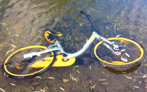 obike thrashing thrown away vandalized