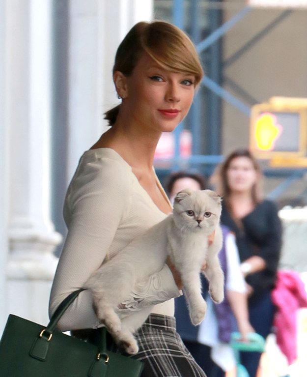 olivia benson dan taylor swift