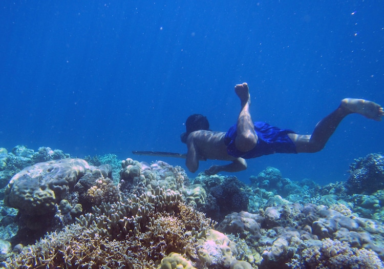 orang bajau mempunyai kebolehan menyelam yang menakjubkan