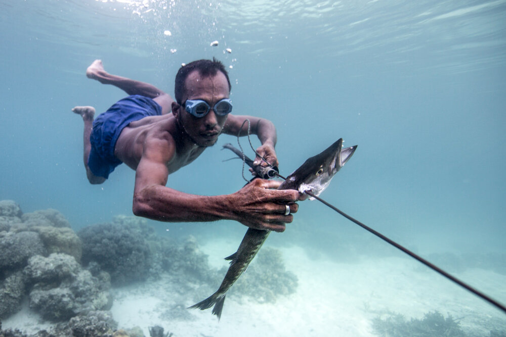 orang bajau selam lautan