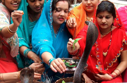 orang india dan ular tedung