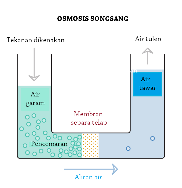 osmosis songsang