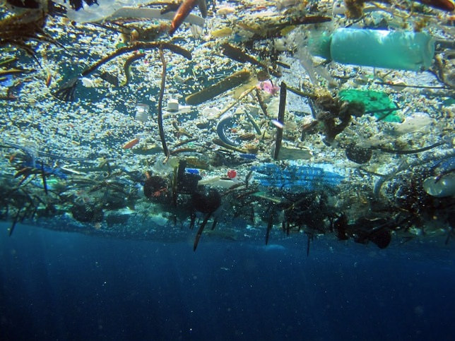 pacific trash vortex