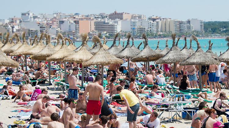 palma de mallorca