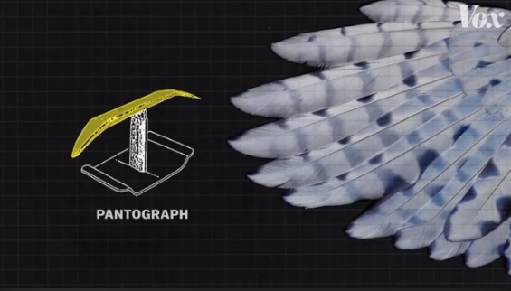 pantograph