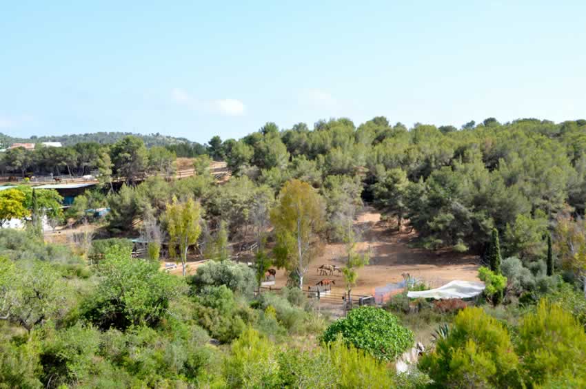 parque natural del garraf