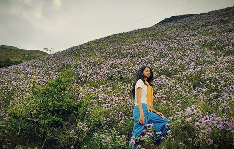 pejalan kaki gemar menikmati pemandangan indah neelakurinji