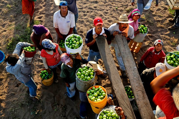 pekerja di mexico