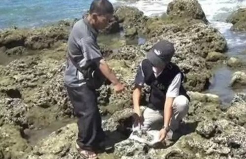 pelancong china ambil terumbu karang di taiwan