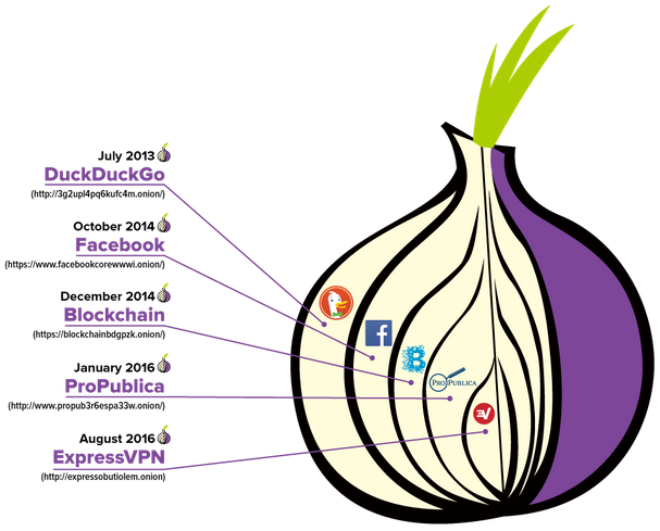 pelayar tor untuk mengakses dark web 2