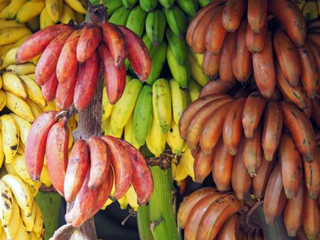 pelbagai jenis pisang