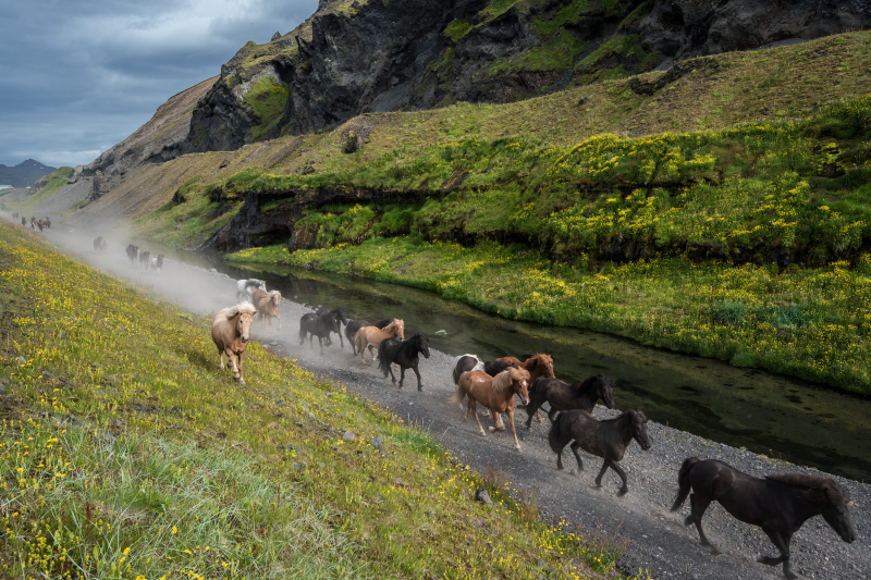 pemandangan di iceland 2