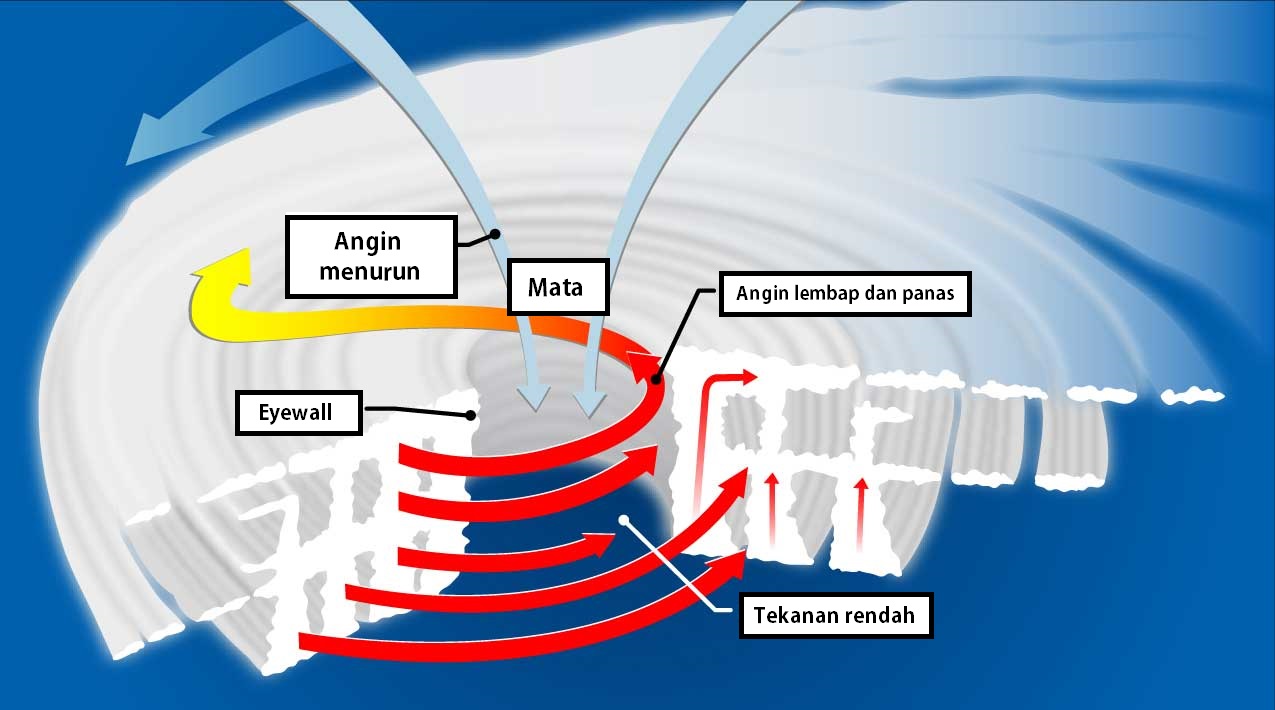 pembentukan angin taufan