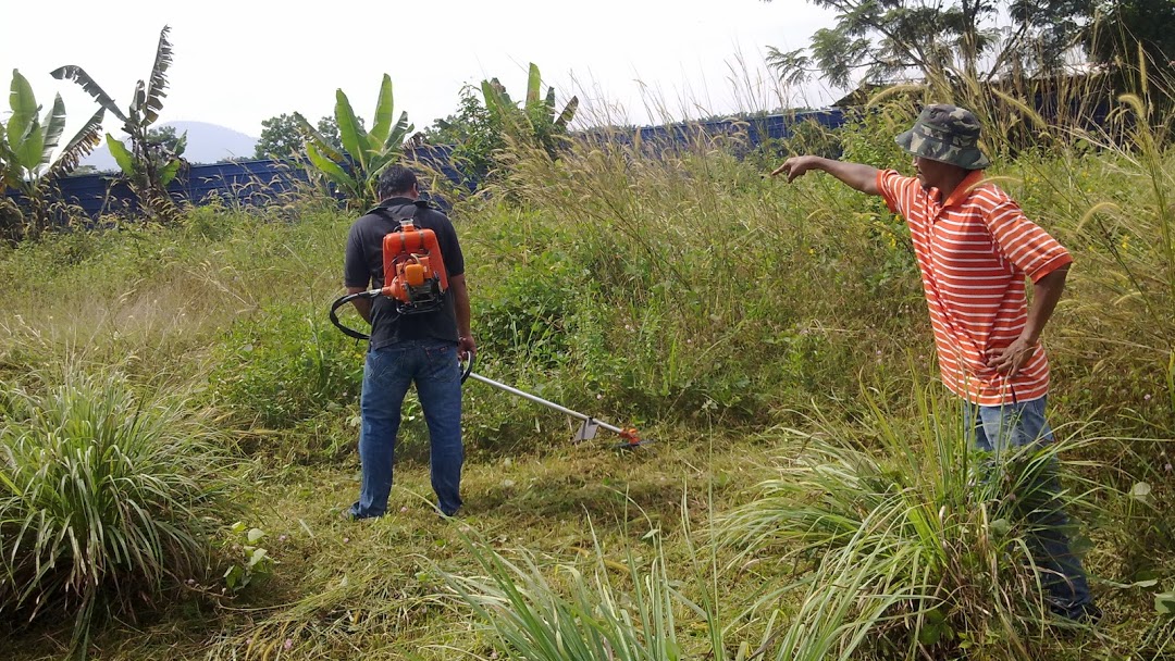 pemotong rumput bekerja