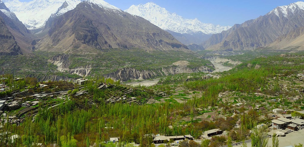 penanaman semula pokok di hutan pakistan