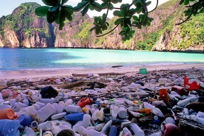 pencemaran maya bay