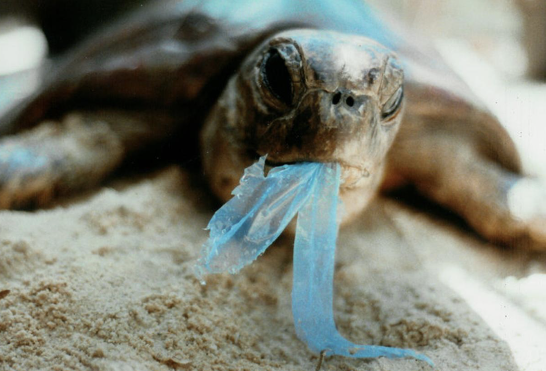 pencemaran plastik di laut