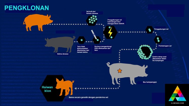pengklonan haiwan 574