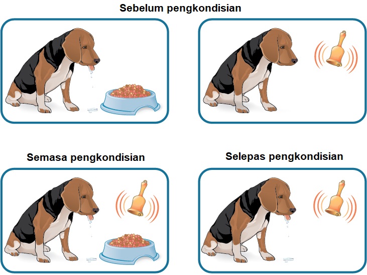 pengkondisian pavlovian