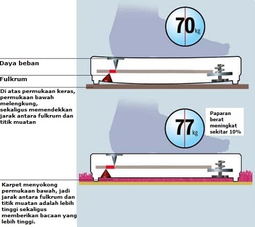 penjelasan mengapa berat badan berlebihan atas karpet 798