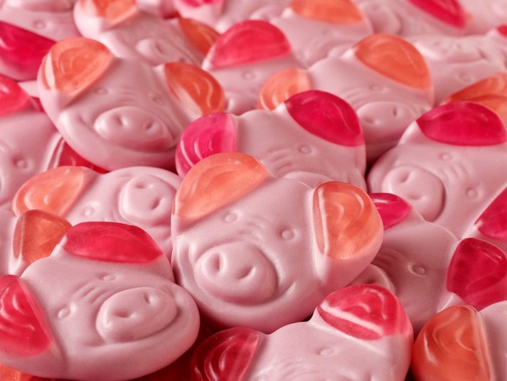 percy pig