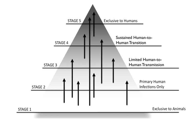 peringkat stages of zoonotic infection